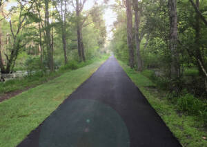 Gainesville - Hawthorne Trail