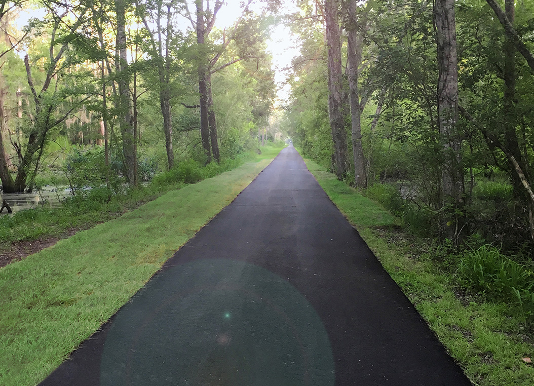 Gainesville - Hawthorne Trail